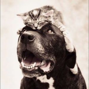 Meet your Posher, Brian